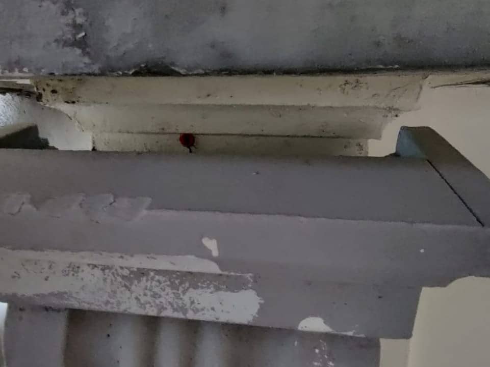 zubieta-38-donostia-6