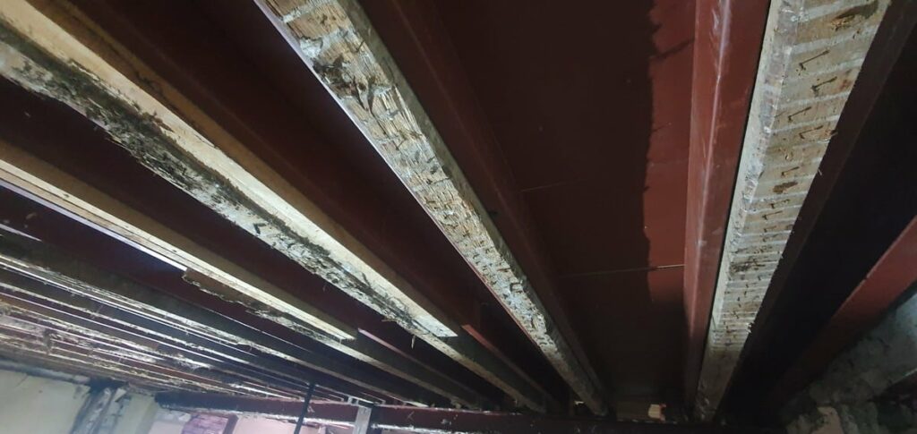 Accesibilidad y eliminación de barreras arquitectónicas en Donostia Gipuzkoa