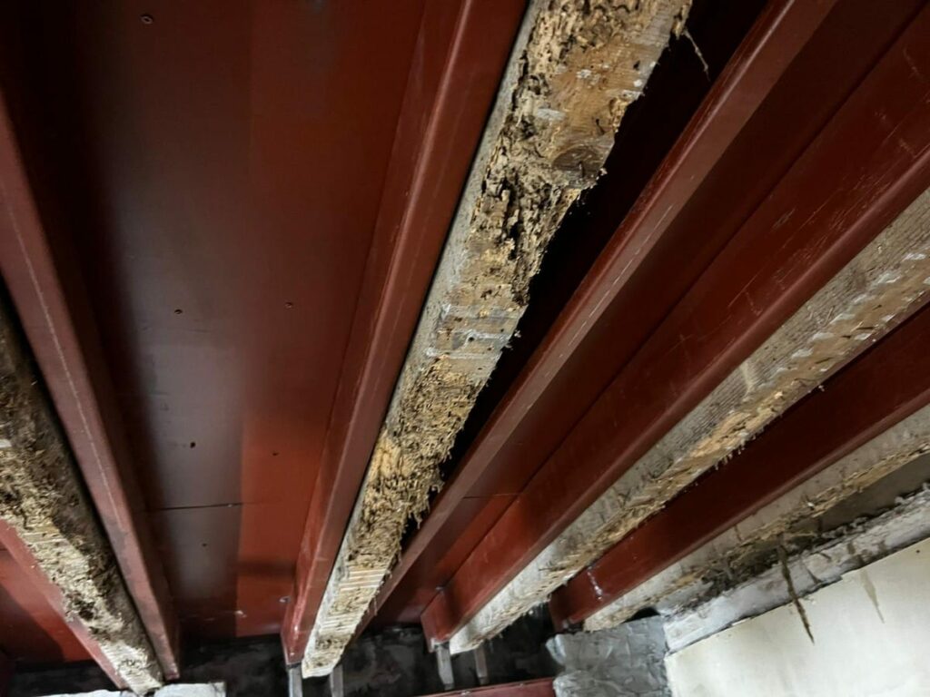 Accesibilidad y eliminación de barreras arquitectónicas en Donostia Gipuzkoa